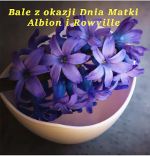 Bale Matki Albion i Rowville